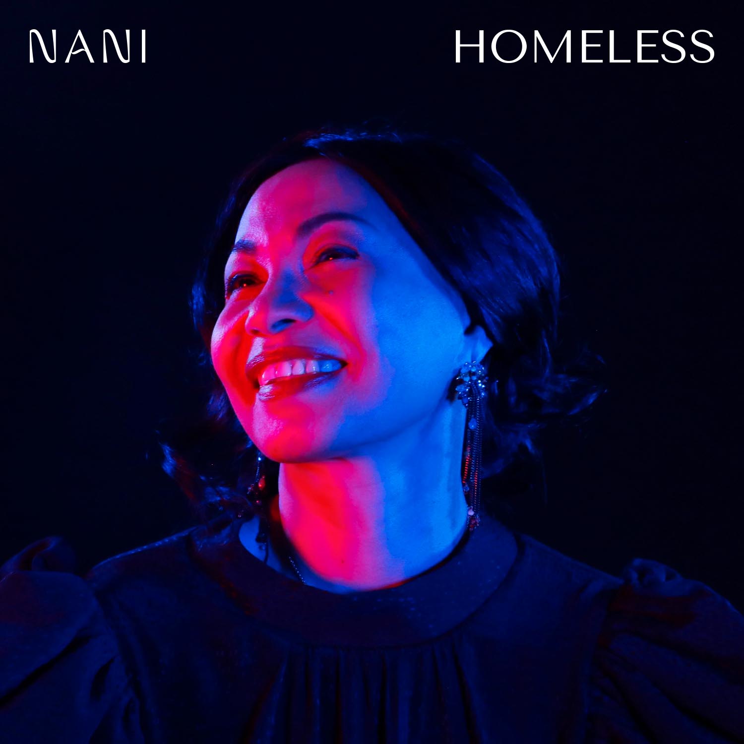 NANI Homeless, Album Cover Artwork